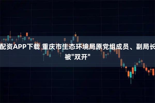 一号配资APP下载 重庆市生态环境局原党组成员、副局长向霆被"双开"
