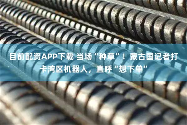 目前配资APP下载 当场“种草”！蒙古国记者打卡湾区机器人，直呼“想下单”