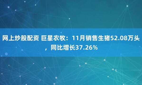 网上炒股配资 巨星农牧：11月销售生猪52.08万头，同比增长37.26%