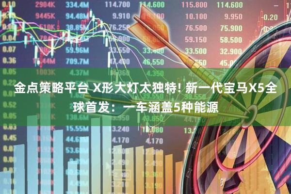 金点策略平台 X形大灯太独特! 新一代宝马X5全球首发:一车涵盖5种能源